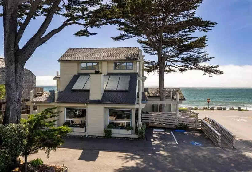 اتاق اجرایی با تخت بزرگ, Cypress Inn On Miramar Beach