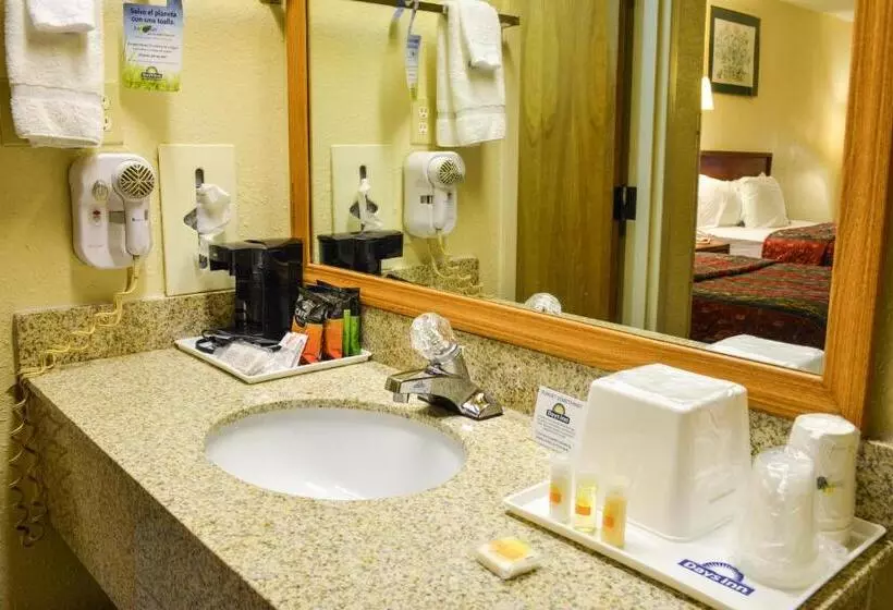 身障者適用キングサイズベッドルーム, Days Inn By Wyndham Easley/greenville/clemson Area