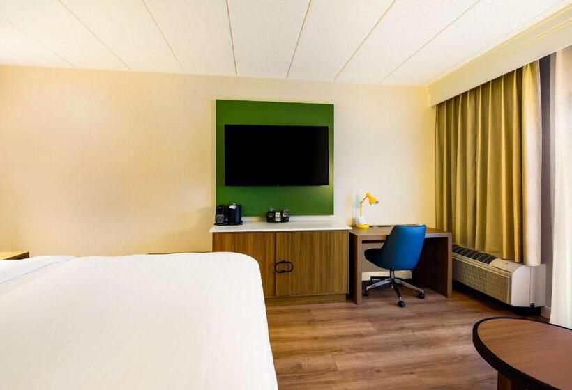 장애인을 위한 킹사이즈 침대 스탠다드 룸, Sonesta Select Philadelphia Airport