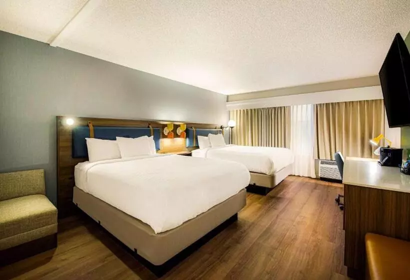 اتاق استاندارد برای معلولان, Sonesta Select Philadelphia Airport