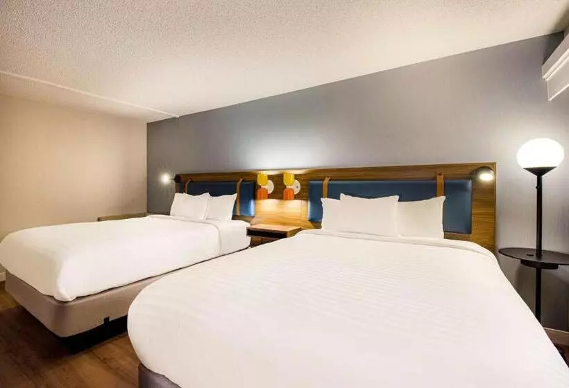 اتاق لوکس با تخت دو نفره بزرگ, Sonesta Select Philadelphia Airport
