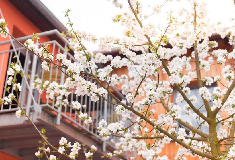 ジュニアスイート, Bio Hotel Kunstquartier