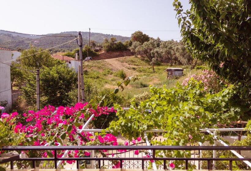 חדר סטנדרט, Alexandra S House