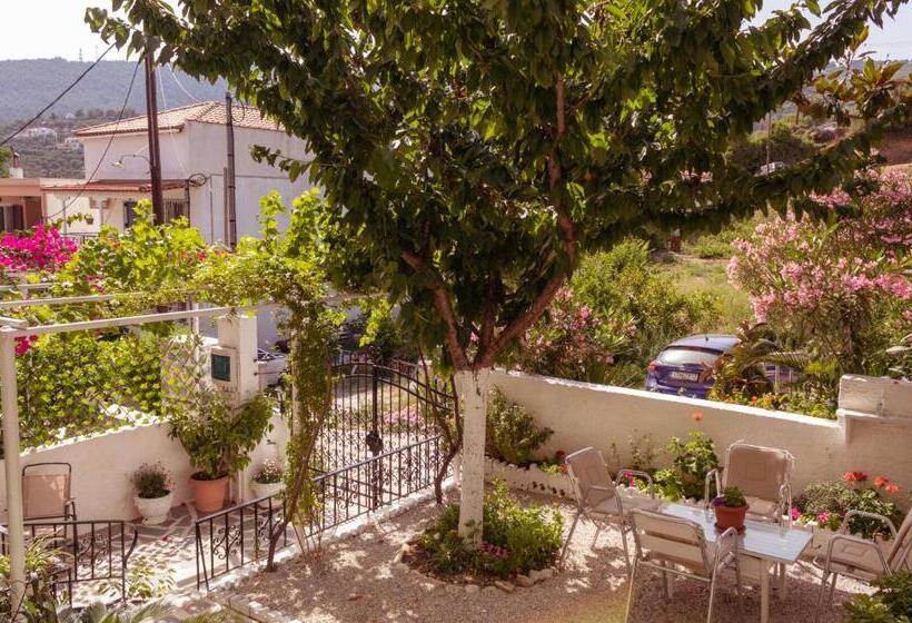 חדר סטודיו סטנדרד, Alexandra S House