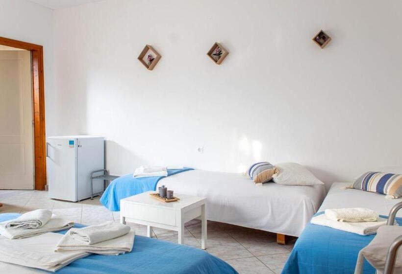 חדר סטודיו סטנדרד, Alexandra S House