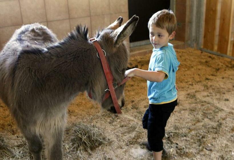 اتاق خانوادگی با چشمانداز کوه, Bio Bauernhof Reiterhof