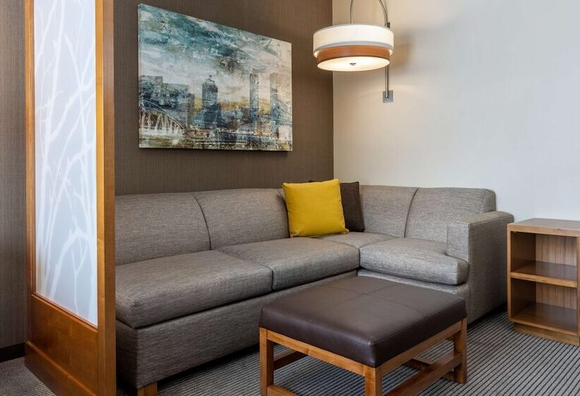 غرفة قياسية, Hyatt Place Atlanta Centennial Park