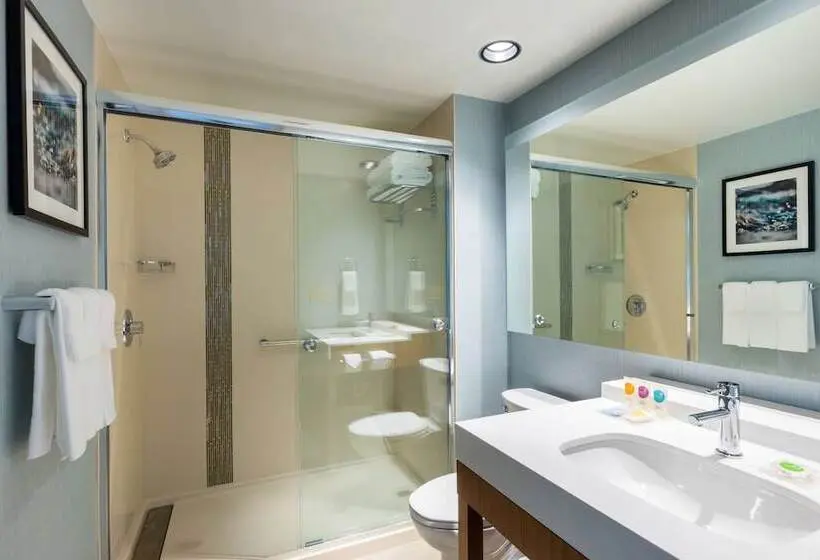 اتاق استاندارد برای معلولان, Hyatt Place Atlanta Centennial Park
