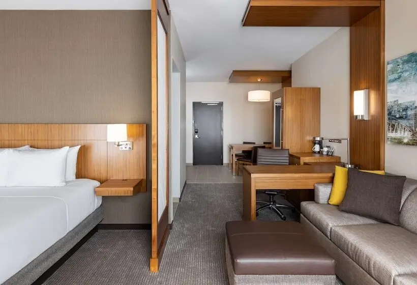 اتاق استاندارد برای معلولان, Hyatt Place Atlanta Centennial Park