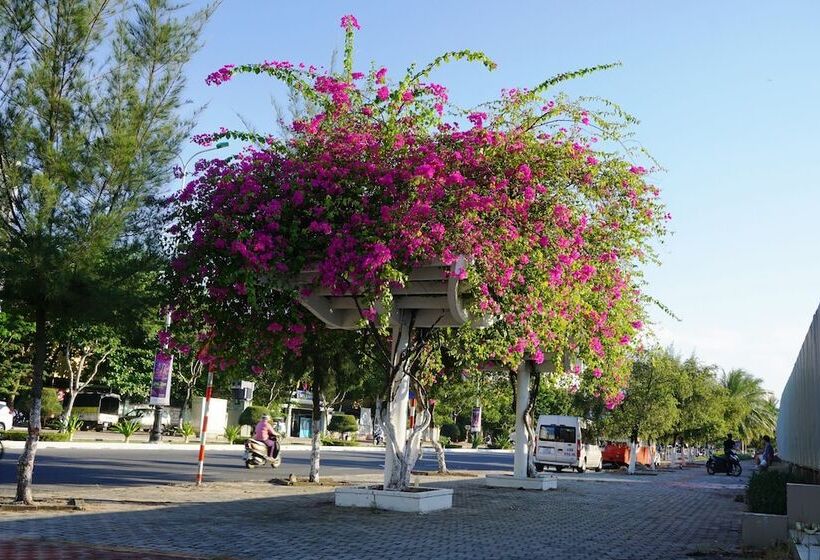 اتاق لوکس, Ocean View Danang