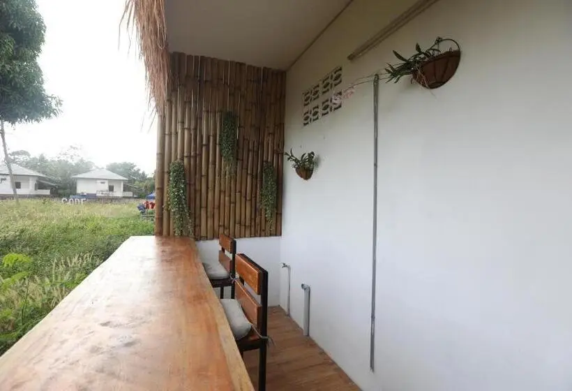 ルームシェアのワンベッド, Leo Hostel