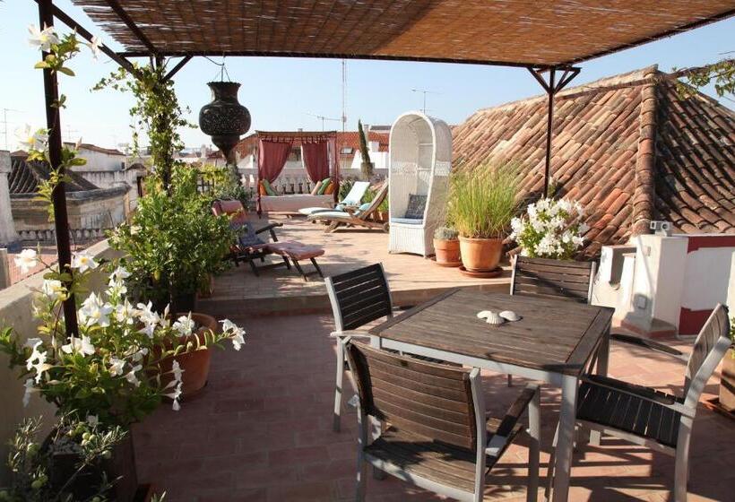 سوییت, Casa Beleza Do Sul