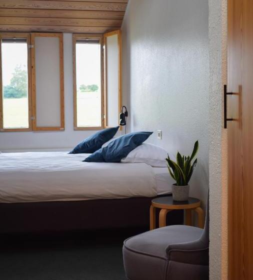 اتاق استاندارد, Skalholt