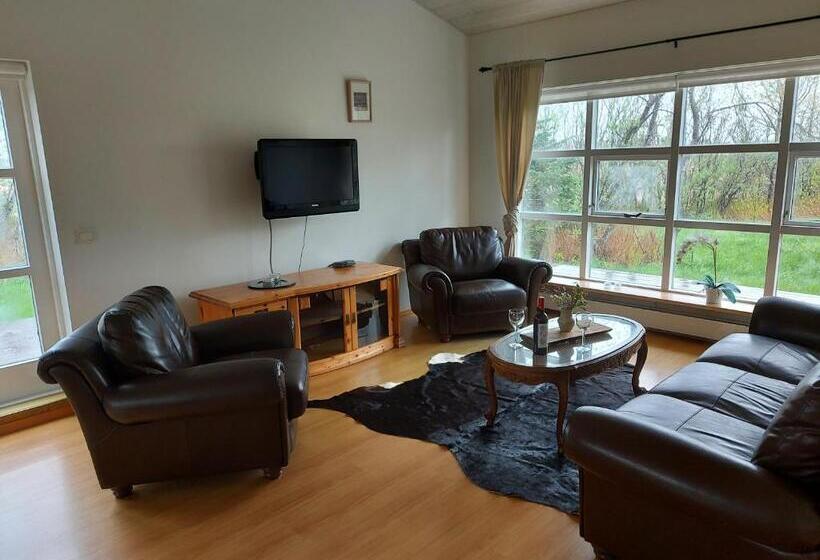 خانه 1 خوابه, Skalholt