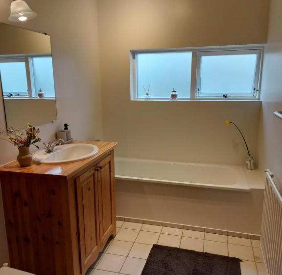 خانه 1 خوابه, Skalholt