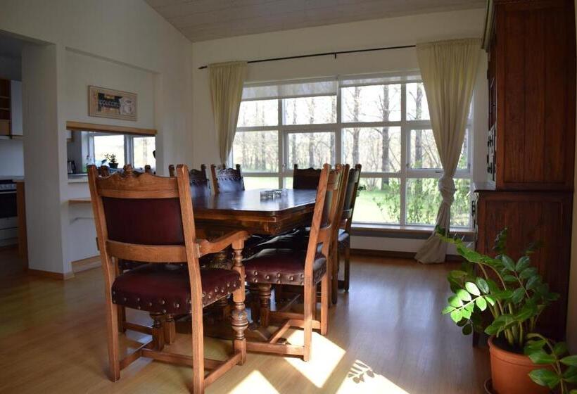 خانه 1 خوابه, Skalholt