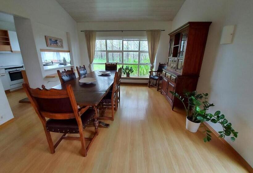 خانه 1 خوابه, Skalholt