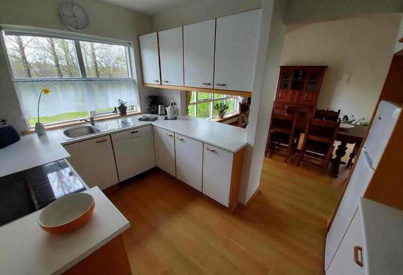 خانه 1 خوابه, Skalholt