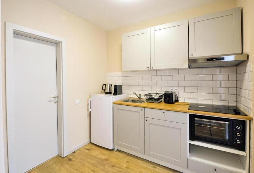 豪华工作室, Mandarin Premium Apartments