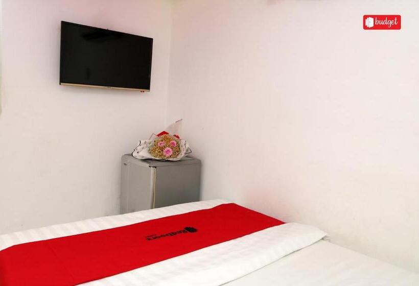 اتاق عادی, My Friends