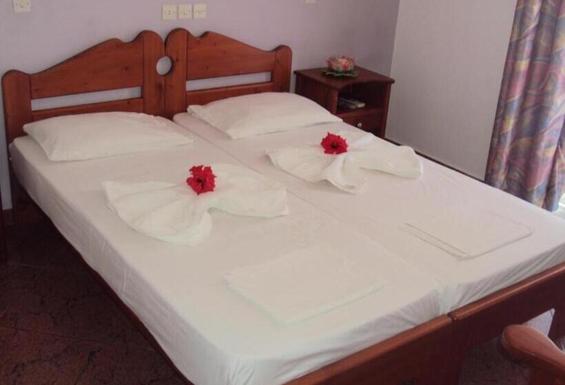 اتاق استاندارد چهار تخته, Golden Star Rooms