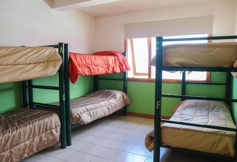 ルームシェアのワンベッド, Yaghan Hostel