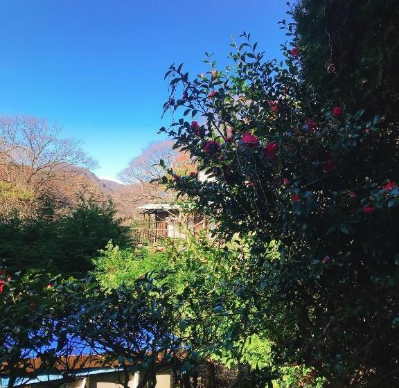 バス共有のスタンダードルーム, Onsen & Garden Asante Inn