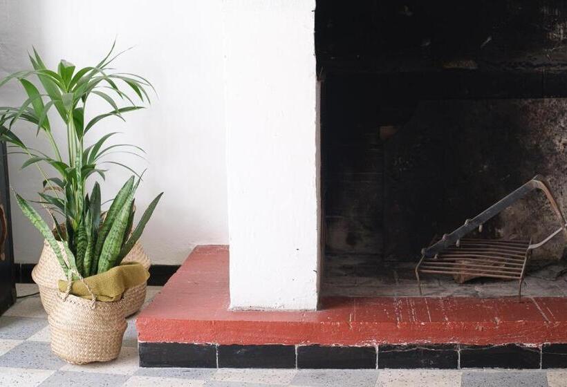 带1个卧室的公寓, Carpe Diem