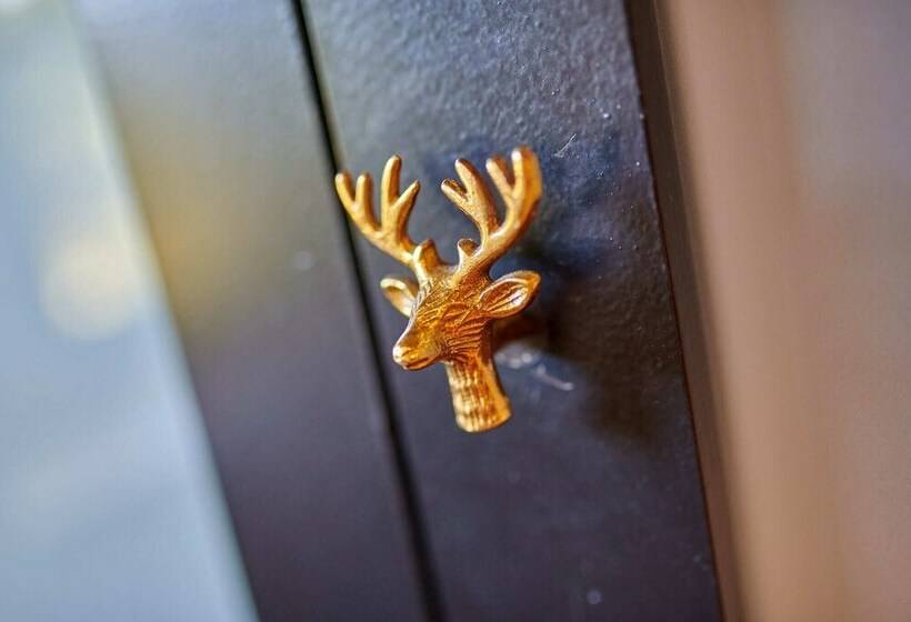 디럭스 룸, Bel Air Maison D Hotes Des Landes