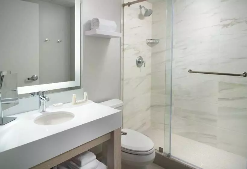 اتاق استاندارد با تخت بزرگ, Courtyard Miami Coconut Grove
