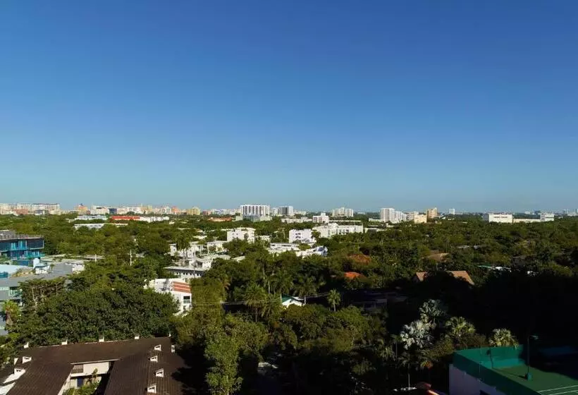 سوئیت با تخت بزرگ, Courtyard Miami Coconut Grove