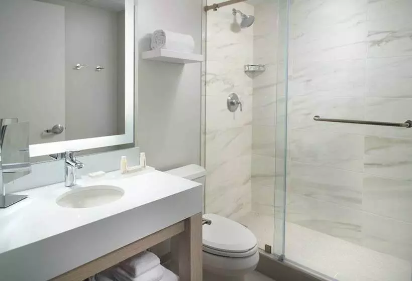 اتاق استاندارد با 2 تخت دوبل, Courtyard Miami Coconut Grove