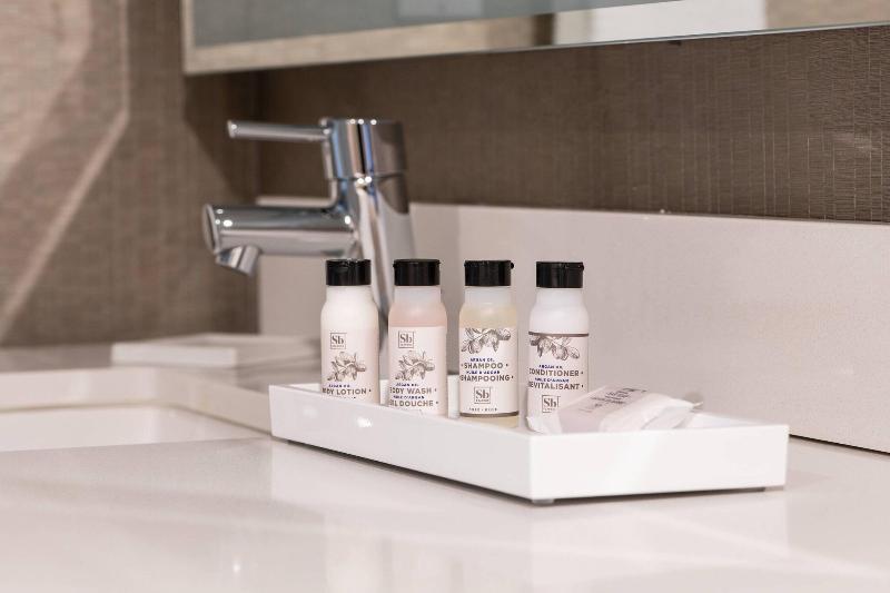 带大床的标准间, Skyline Hotel Detroit Airport, Surestay Collection By Bw