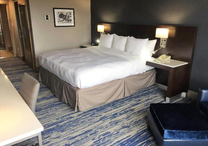 غرفة قياسية سرير كينج, Skyline Hotel Detroit Airport, Surestay Collection By Bw