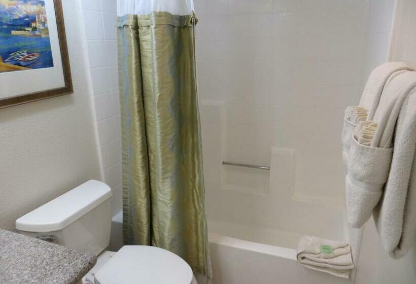 スタンダードスタジオ, Desert Breezes Resort