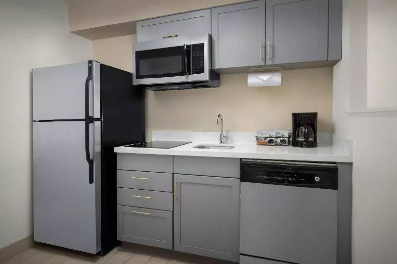 Sviitti King-vuode, Residence Inn By Marriott Washington   Dc/foggy Bottom