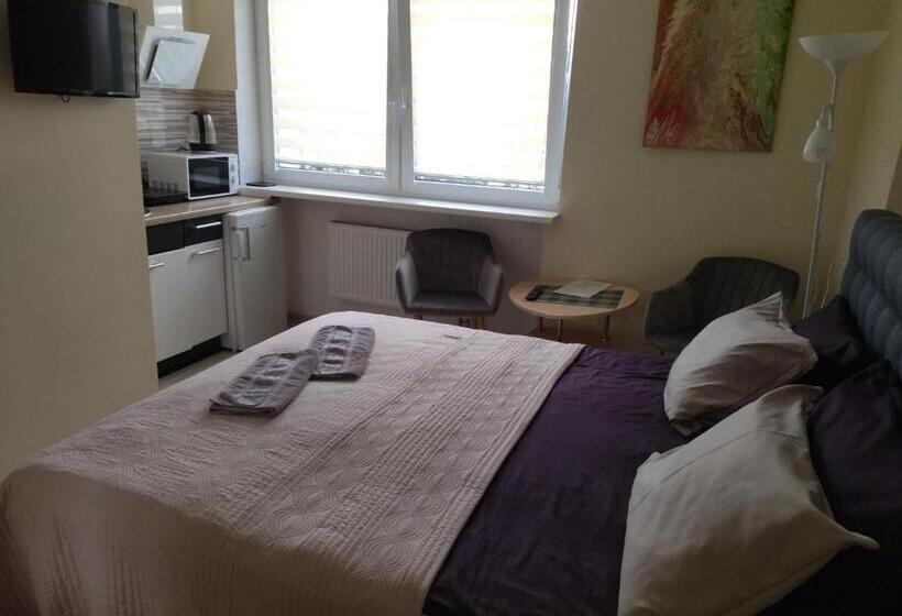 اتاق استاندارد, Poilsis Palangoje Pas Daivą