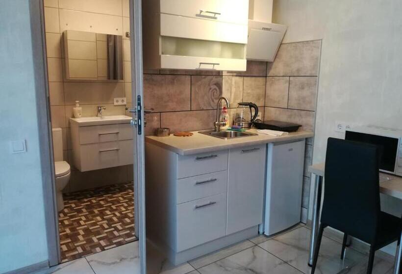 اتاق استاندارد با بالکن, Poilsis Palangoje Pas Daivą