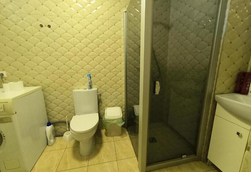 اتاق استاندارد سه تخته با سرویس بهداشتی مشترک, Poilsis Palangoje Pas Daivą