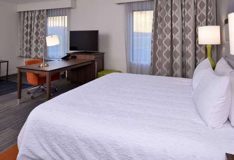 带大床的标准间, Hampton Inn & Suites Farmers Branch Dallas