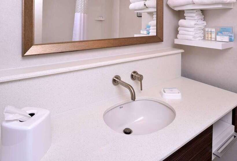 스탠다드 룸 킹사이즈 침대, Hampton Inn & Suites Farmers Branch Dallas