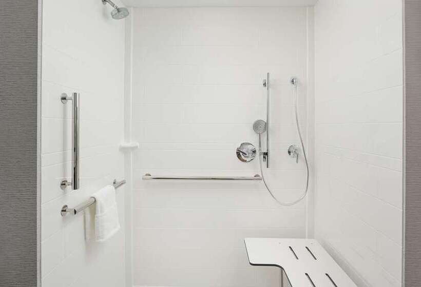 장애인을 위한 킹사이즈 침대 스탠다드 룸, Hampton Inn & Suites Farmers Branch Dallas