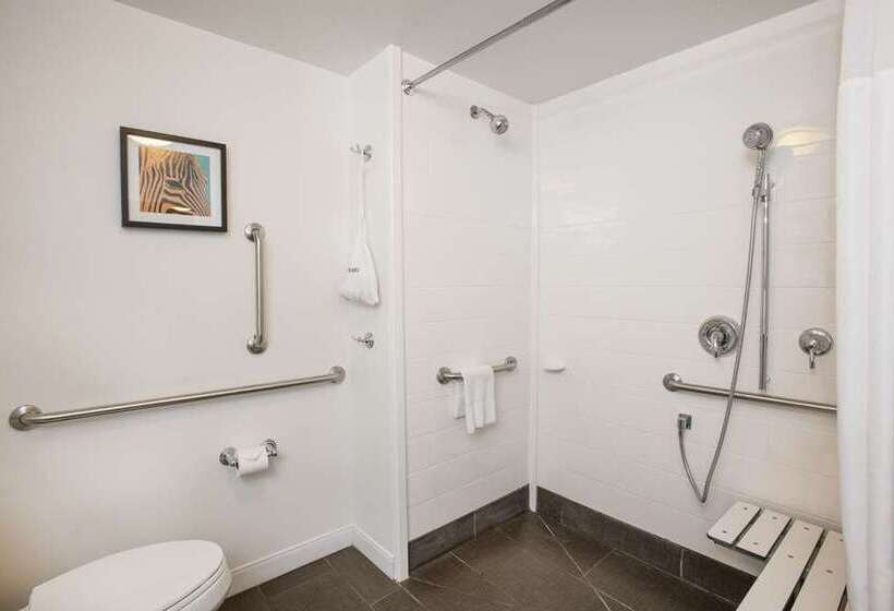 장애인을 위한 킹사이즈 침대 스탠다드 룸, Hampton Inn & Suites Farmers Branch Dallas