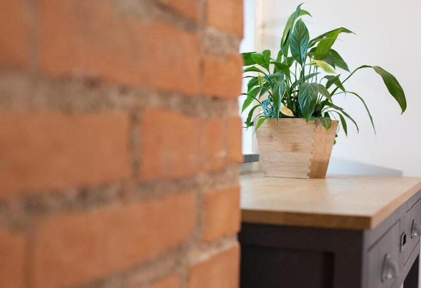 Номер Стандарт, Incentro B&b