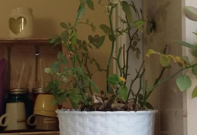 Номер Стандарт, Dimora Dei Gelsi