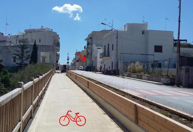 Студия Стандарт, Dimora Dei Gelsi