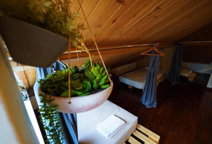 تختخواب در اتاق مشترک, Jaca Hostel Porto Da Cruz