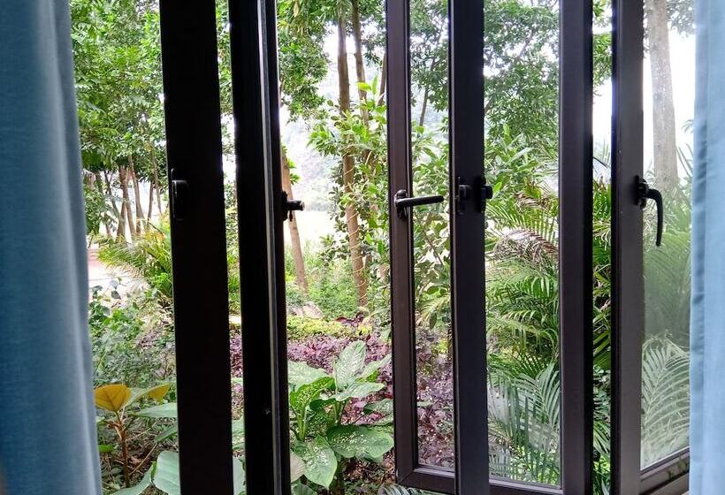 اتاق سوپریور, Hang Mua Homestay