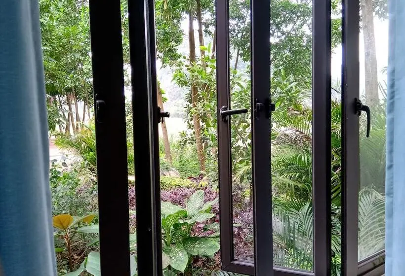 اتاق سوپریور, Hang Mua Homestay