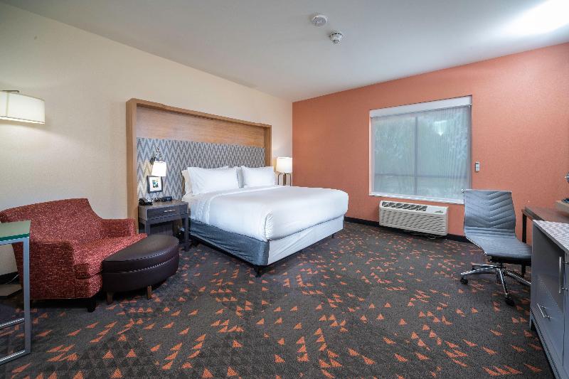 适合残疾人士使用的带超级大床的标准间, Holiday Inn St Louis   Creve Coeur, An Ihg